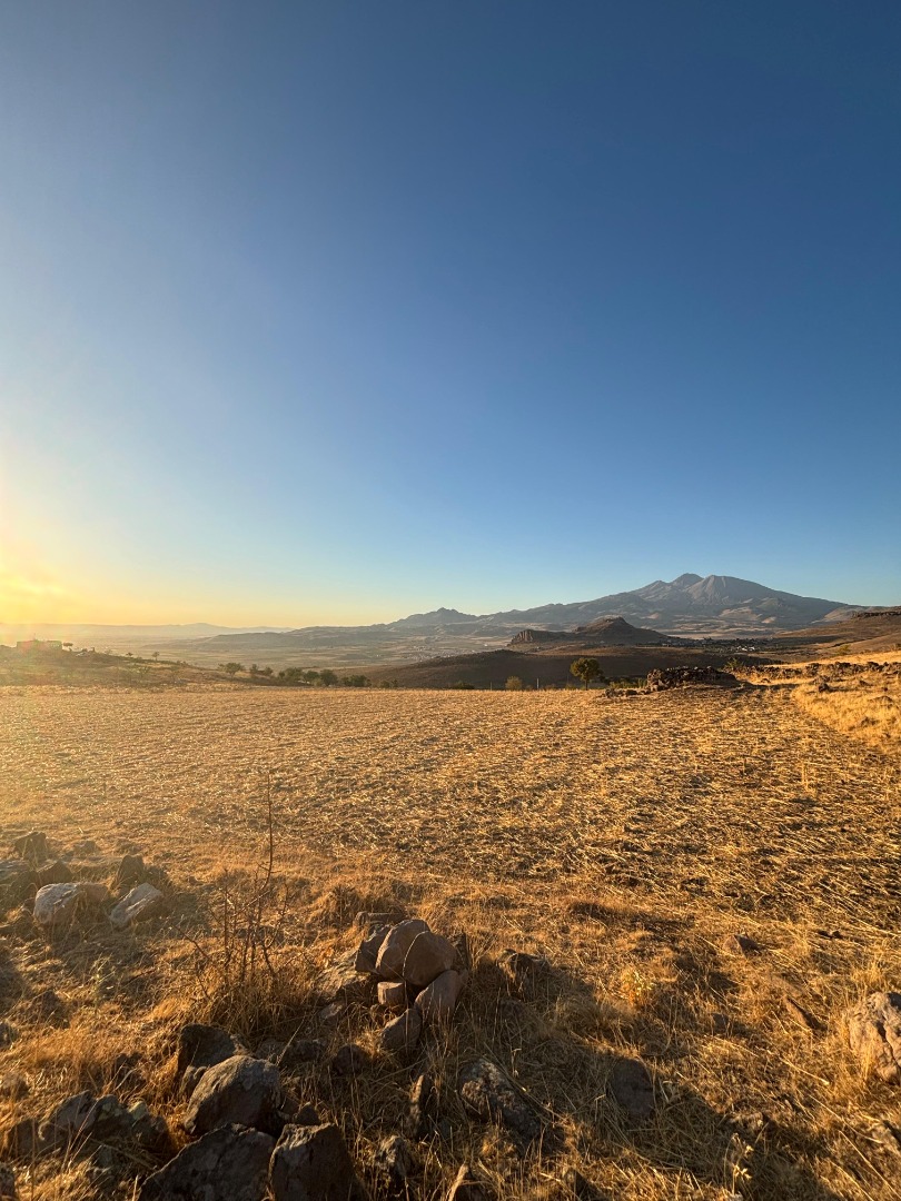 KAYSERİ DEVELİ YEDEK MAHALLESİ KİLLİK MEVKİİNDE SATILIK TARLA